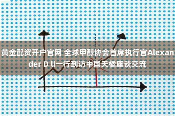 黄金配资开户官网 全球甲醇协会首席执行官Alexander D ll一行到访中国天楹座谈交流